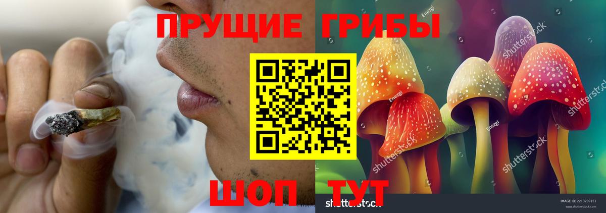 Галлюциногенные грибы MAGIC MUSHROOMS Дмитров