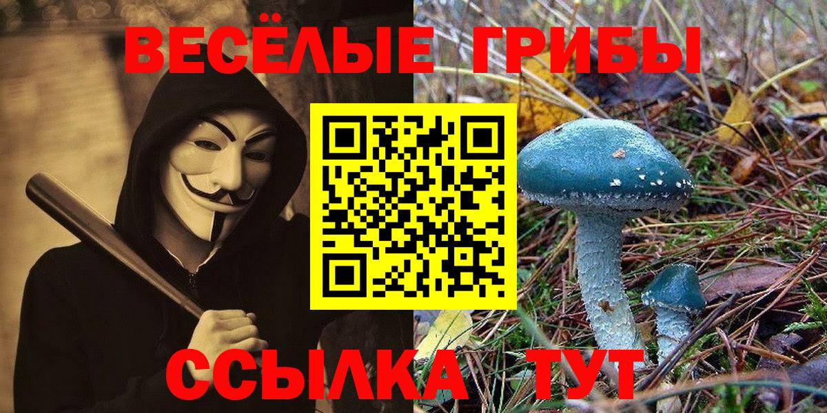 Дмитров  Галлюциногенные грибы Psilocybe  купить наркотик  Вход с VPN 